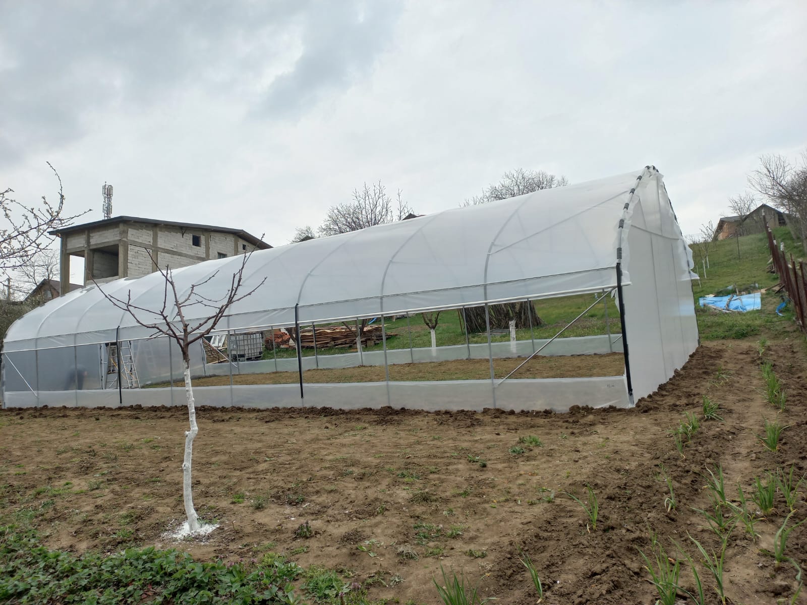 Solar 7m - imagine 4